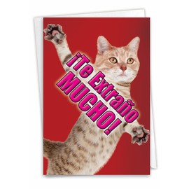 NobleWorks Humorous Spanish Miss You Greeting Card with 5 x 7 Inch Envelope (1 Card) Thinking of You, Just Because Te Extraño un Montón-Gato C2580MYG-SL