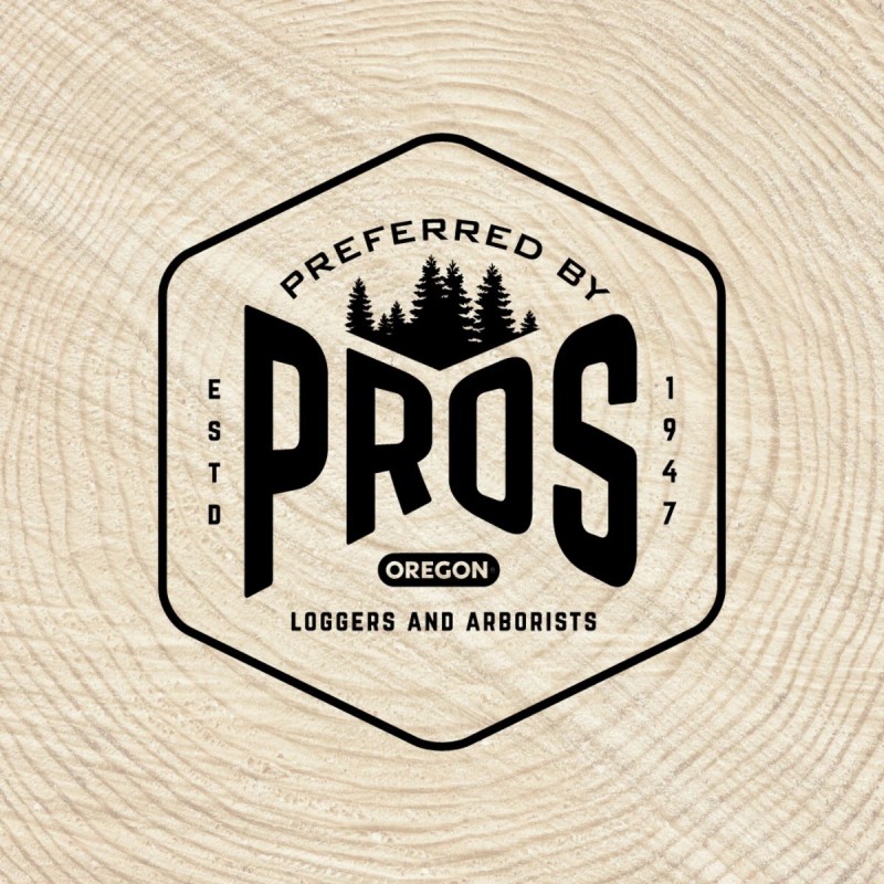 Oregon PS250-E6 Pole Saw Replacement Bar and Chain, 084MLEA041 /