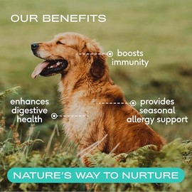Native Pet Colostrum for Dogs - Bovine Colostrum Powder - Dog Allergy Relief, Itchy Skin Relief, Immune Support & Gut Health - 100% Single-Ingredient Supplement with Bioactive Nutrients - 120 Scoops