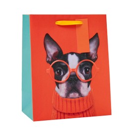 UK Greetings Medium Gift Bag for Him/Her/Kids - for Birthdays, Thank You & Other Events - Funny Dog Design
