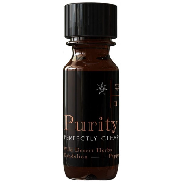 Purity Perfectly Clear Skin Tonic Acne and Blemish Face Wash Cleanser Pore Reducer Treatment by Good Medicine Beauty Lab (0.5 oz)