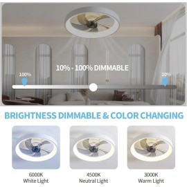 Ricodo 20" Modern Fan Lights Flush Mount LED Ceiling Light kit With Remote APP Control