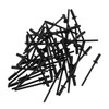TUCKBOLD Open End Large Flange Blind Rivets Black 50 Pcs