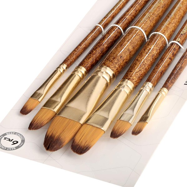 Silithus Paint Brushes 6 Pieces Set, Professional Fine Tip Paint
