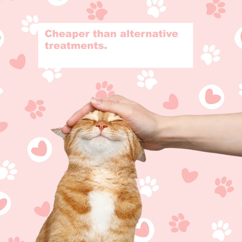 LifeLink's Zobaline for Cats 3 mg x 60 tablets