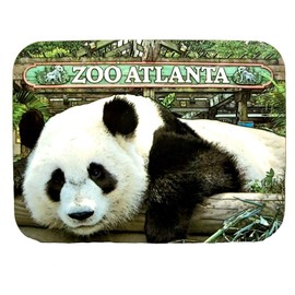 Saddle Mountain Souvenir Zoo Atlanta with Panda Photo Fridge Magnet, Black and White, Plastic, 4" x 3", 1 Count