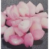 Domestically Produced Lily Flower Blizzard, 8.8 oz (250 g) (Approx. 600 - 700 Tablets), For Freezing, Commercial Use