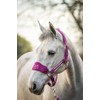 Equipride LUXURY FLEECE UNICORN HEADCOLLAR SET LEAD ROPE FULL-MINI SHETLAND