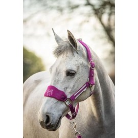 Equipride LUXURY FLEECE UNICORN HEADCOLLAR SET LEAD ROPE FULL-MINI SHETLAND (Mini Shetland, Fuchsia)
