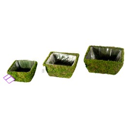 SuperMoss (55040 Marin, Fresh Green, Set of 3 (S/M/L)