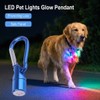 LED Light-Up Dog Tag for Nighttime Use – Glowing Flashing