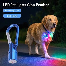 LED Light-Up Dog Tag for Nighttime Use – Glowing Flashing Pendant for Pet Collars