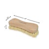 All-Natural Wooden Scrub Brush Set |Tampico Bristle Brush for Cleaning