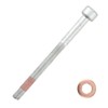 Sarini 4pcs Bolts, Injector Bracket Bolts with 4 Washers for