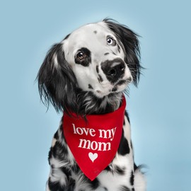 Love My Mom Dog Bandana (429 Red, One Size)