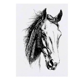 'Horse Portrait' Temporary Tattoo - Water Resistant, Skin-Safe, Non-Toxic Transfer (TO00082083)