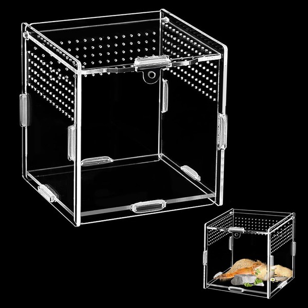 Acrylic Terrarium (10 cm x 10 cm x 10 cm),