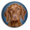 Magyar Vizsla Hungarian Shepherd Dog Portrait 5 Round Fridge Magnets