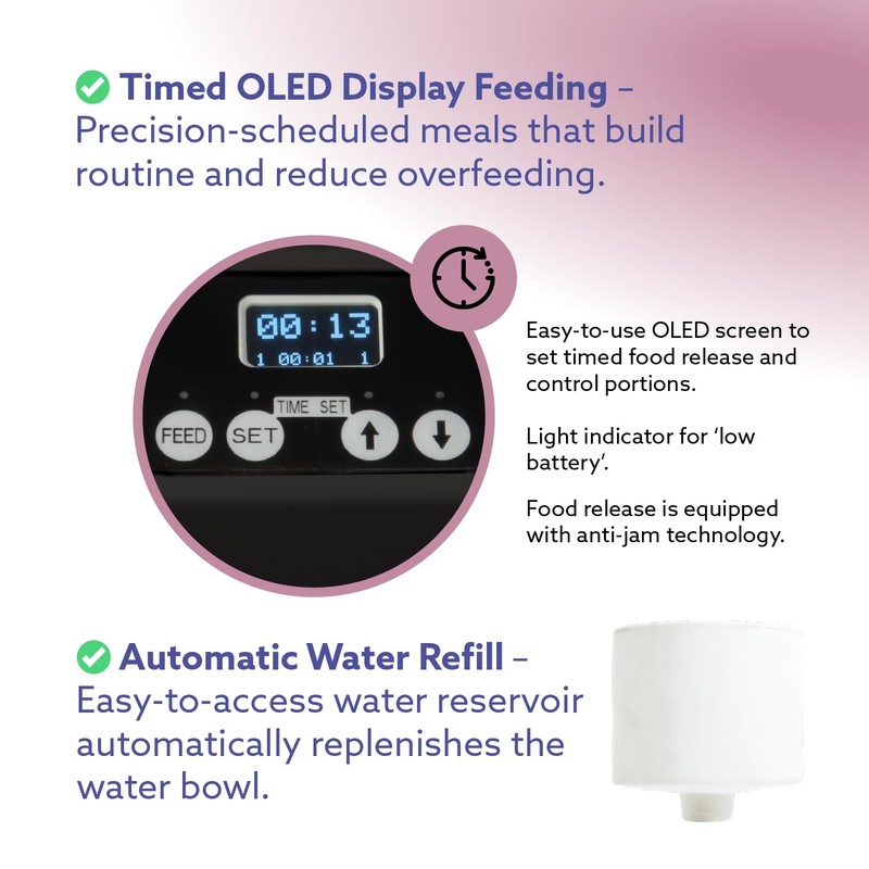 Feeding Friend Automatic Dog & Cat Food Feeder with Water