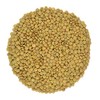 Organic Green Lentils Whole Raw, High Fiber Non-GMO-Bulk (1LB)