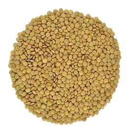 Organic Green Lentils Whole Raw, High Fiber Non-GMO-Bulk (1LB)