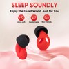Ear Plugs for Sleep, 2 Pair Noise Reduction Soft Silicone