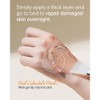 Mary&May [Mary&May]*mini* Calendula Peptide Ageless Sleeping Mask 30g
