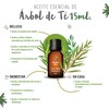 OLEUM VITAE Aceite Esencial de Eucalipto Eucalyptus Globulus 100% Puro