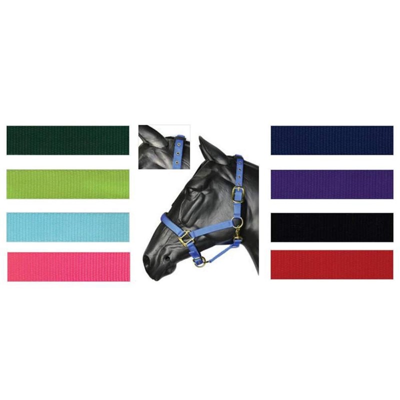Y-H Hy Deluxe Padded Head Collar - Purple - Pony