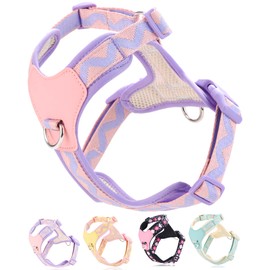 Petank Purple Medium Dog Harness for Medium Dogs, No Pull Dog Harness With 2 Leash Clips, Easy Walk Dog Harness Medium Sized Dog, Puppy Harness for Medium Dogs, Adjustable Dog Vest Harness (Purple, M)