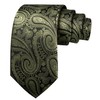 Barry.Wang Olive Green Black Ties for Men Paisley Silk Necktie
