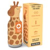 asobu Bestie Bottle Insulated Stainless Steel Water Bottle with Detachable