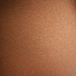 best Canaries 20 gram Carophyll - Canthaxanthin Yellow will intensify yellow color Birds