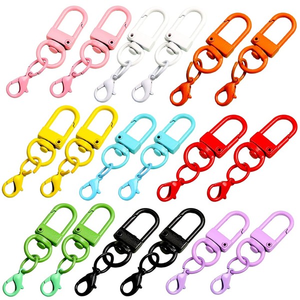 ZORVUJI 18 Pieces Lanyard Carabiner Hook Key Ring Rotating Alloy