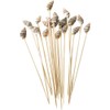 FSSTUD 100 Pieces Seashell Cocktail Picks Beach Party Chopsticks Tropical