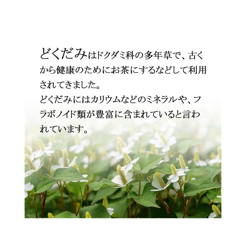 【リプサ公式】 どくだみ 約3か月分×2袋 C-139-2
