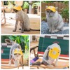 Pet Dog Baseball Cap, Cat Hat, Cat Dog Sun Cap
