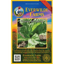 Everwilde Farms - 2000 Florida Broadleaf Mustard Seeds - Gold Vault Jumbo Seed Packet