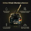 Shilajit +