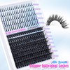 False Eyelashes Clusters 100D Eyelash Clusters Individual Eyelash Extension