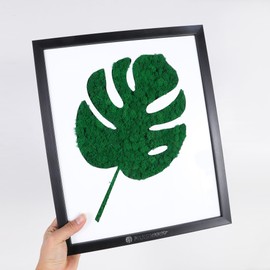 Mossever 100% Natural Moss Art Wall Decor (Leaf) - Natural Deodorizer & Air Purifier - No Maintenance - Moss for Crafts, Terrarium Supplies - Greenery for Home, Bedroom & Living Room Décor