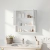 Panana Wall Mounted Bathroom Cabinet Wall Cabinet with 2 Mirrored
