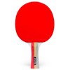 DIONE S1 - Table Tennis Bat - Table Tennis Bat