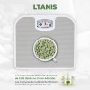 Café Verde Grinlait® 30 Capsulas Supervits 2 Pack Sfn