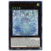 Rilliona, the Wondrous Magistus Witch Wardrobe - LIOV-EN042 - Ultra
