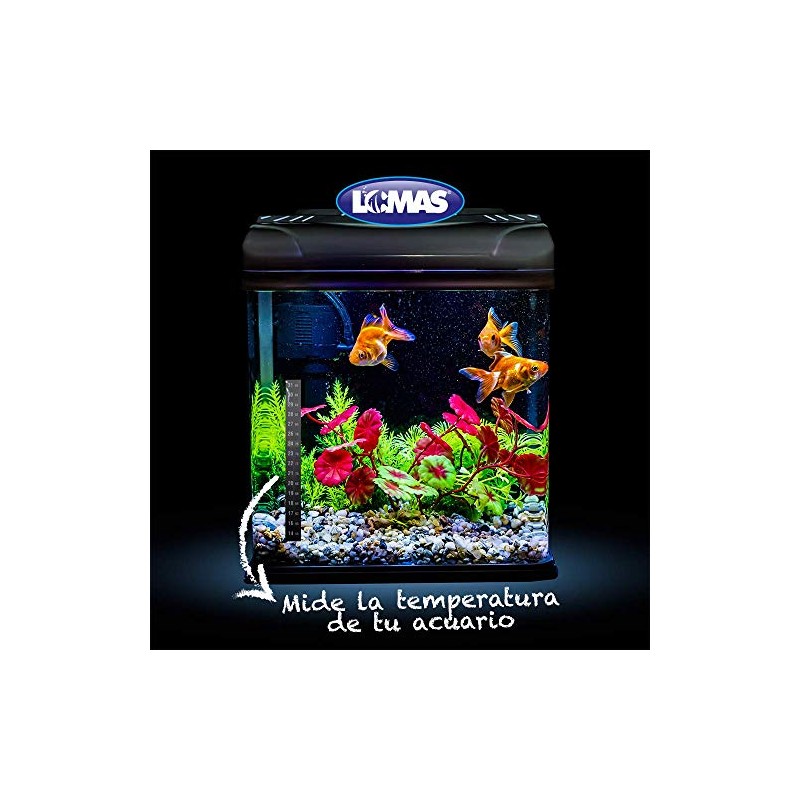 Lomas - TERMOMETRO EXTERNO EN BLISTER