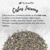 Cistus Incanus Loose Leaf Herbal Tea (500g) Natural Herbal Infusion