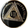 7 Year AA Medallion Glossy Classic Black Sobriety Chip VIIL8