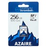 Everything But Stromboli 256GB SD Card Class 10 UHS-1 U3