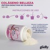 Gudly Peptidos Bioactivos Colageno